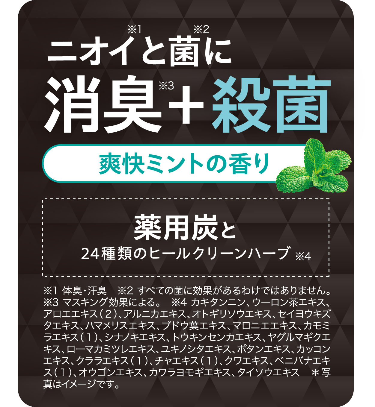 ニオイと菌に消臭+殺菌 爽快ミントの香り 薬用炭と24種類のヒールクリーンハーブ