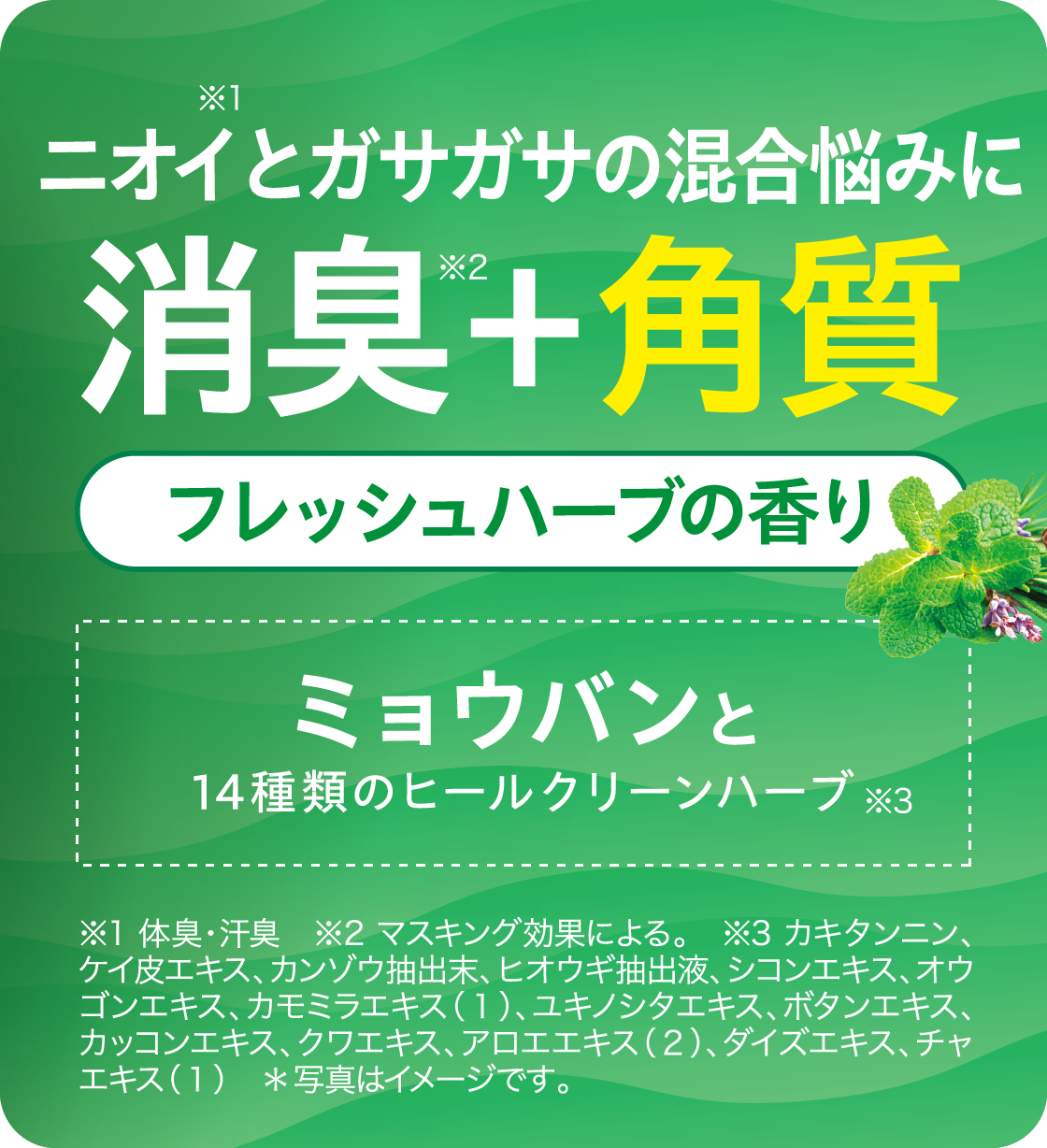 ニオイとガサガサの混合悩みに 消臭+角質 フレッシュハーブの香り ミョウバンと14種類のヒールクリーンハーブ
