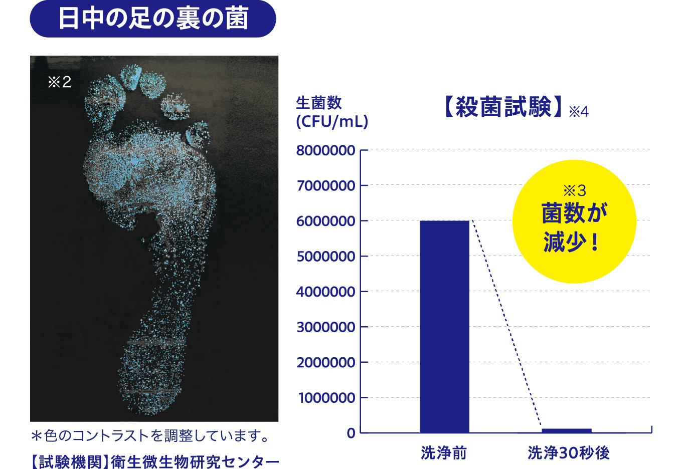 殺菌試験の結果の画像