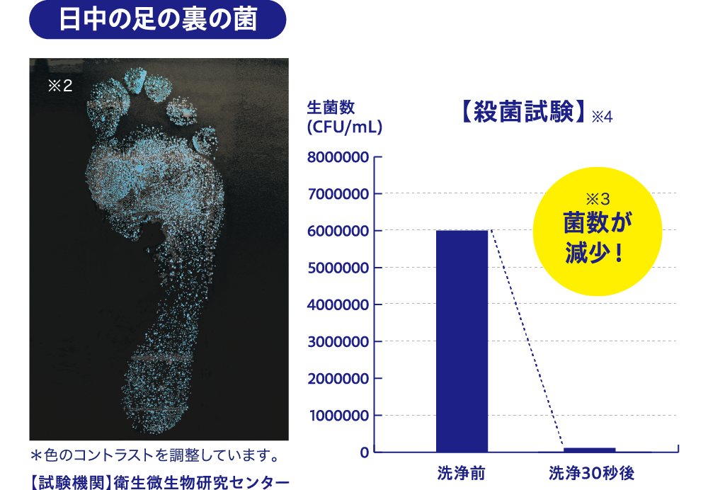 殺菌試験の結果 菌数が減少！